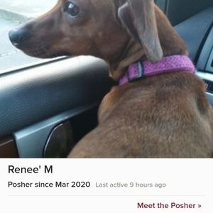 BEWARE OF FALSE BUYER @llamabean77